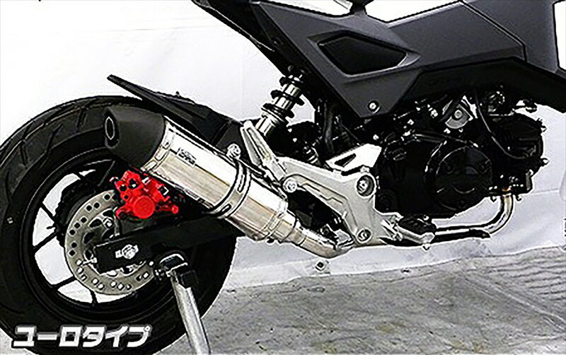 バイクパーツWIRUSWIN(ウイルズウィン) ロイヤルマフラー フルエキ ユーロ1712-59-044548916919536
