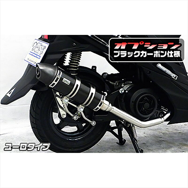 バイクパーツ マフラーウイルズウィン ロイヤルマフラー ユーロ BLKカーボン2062-59-24 4550255188641スウィッシュ 2BJ-DV12B