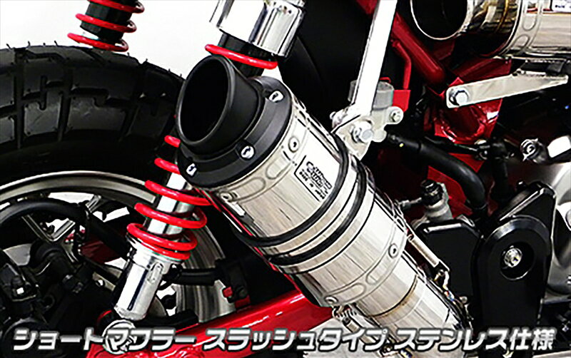 バイクパーツ マフラーWIRUSWIN(ウイルズウィン) ショートマフラー スラッシュ チタン仕様2122-61-054550255336158