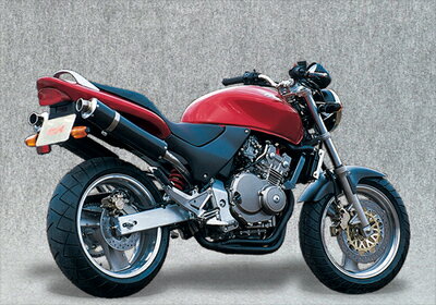 バイクパーツYAMAMOTOレーシング ヤマモト.R スリップオン/カーボンサイレンサー2ホンダシ HORNET25010253-02NCN 4521717000702