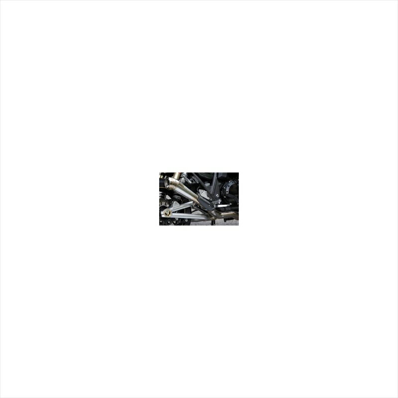 バイクパーツ マフラースペシャルパーツタダオ カーボンヒートガード パワーボックス用ZR1-CF-01 4571117956291ZRX1200DAEG