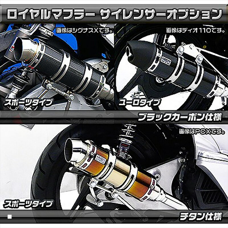 バイクパーツ マフラーウイルズウィン ロイヤルマフラー ユーロタイプ572-59-14 4548664520350ブラックカーボン スクーピー110i