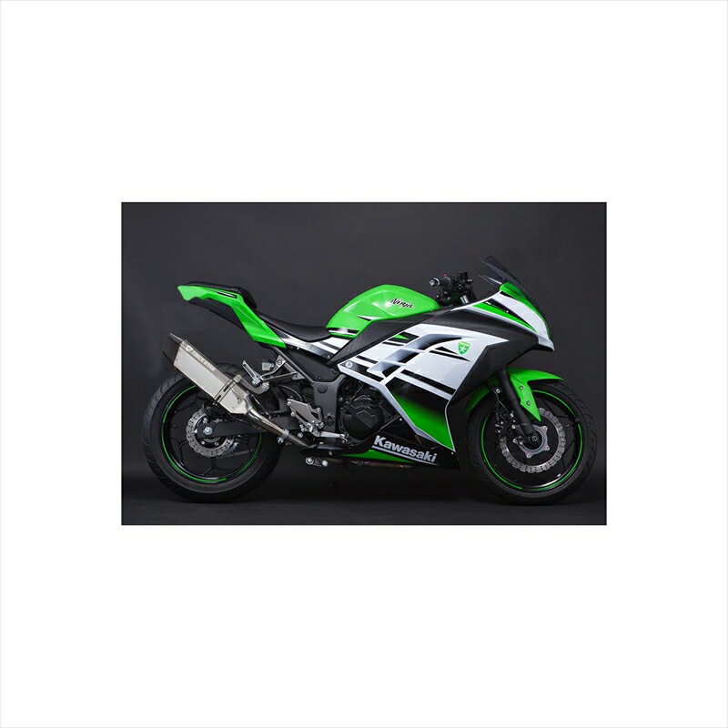 バイクパーツ マフラートリックスター 政府認証S/O イカヅチステンカーボンJSS-015D-L4SC 4573269953173Ninja250 13-17