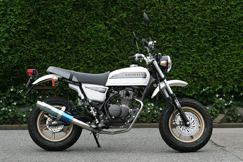 バイク用品 マフラーアールピーエム RPM 80D-RAPTOR Titan APE100 TYPE-D(EBJ-HC13)6036Z 4582287251536取寄品 セール