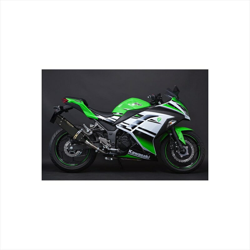 バイクパーツ マフラートリックスター 政府認証S/O イカヅチブラックED JSS-015D-L4BT 4573269962236Ninja250 13-17