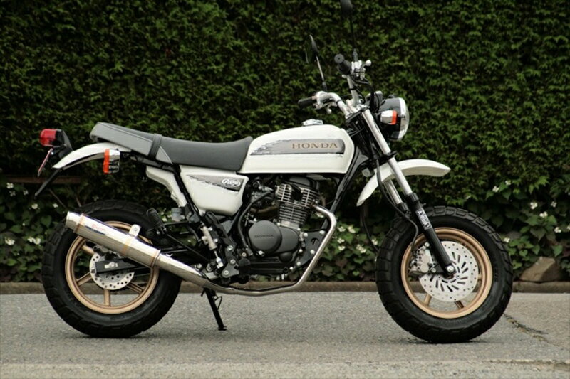バイクパーツ マフラーRPM(アールピーエム) 80D-RAPTOR Titan APE100 TYPE-D(EBJ-HC13)6036Y4582287242824