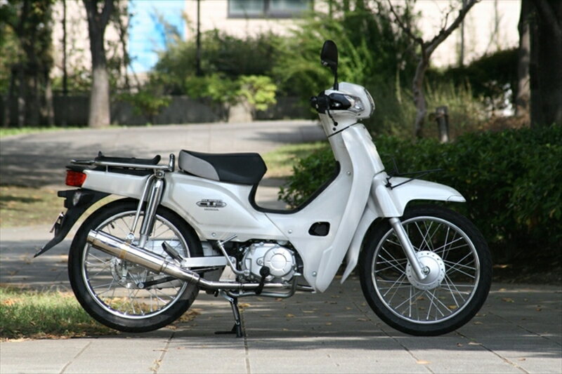 バイクパーツ マフラーRPM(アールピーエム) 80D-RAPTOR Titan CUB110(EBJ-JA10)6037Y4582287243425