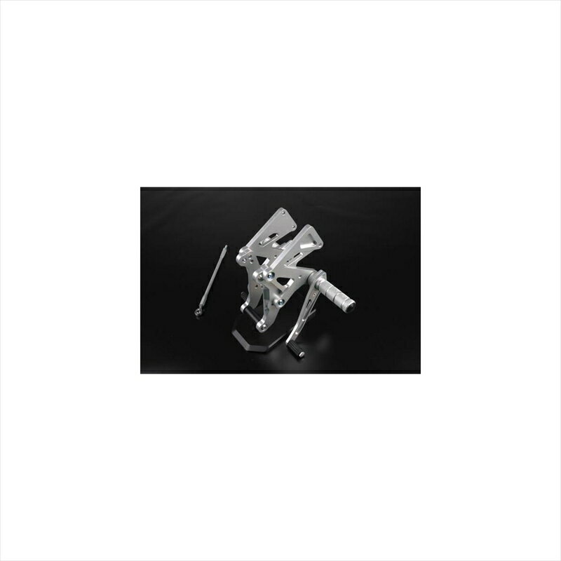 バイクパーツ ステップスパイス タクティカルステップ 3POS 0102BS1H903A 4547424156976HORNET250/600/900 -05