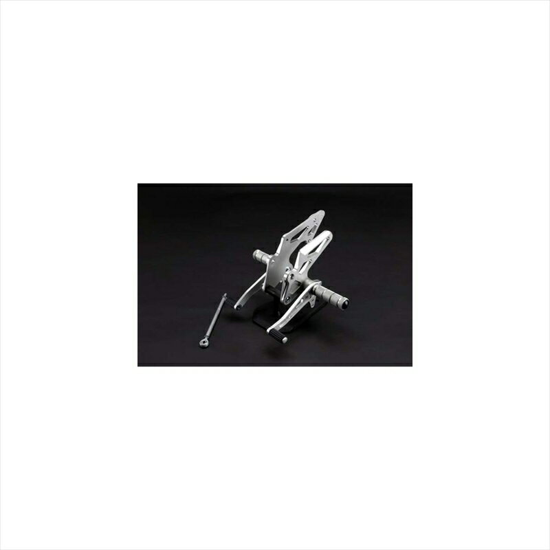 バイクパーツ ステップスパイス タクティカルステップ 1POS 0102BS1K203B 4547567668305Ninja250R/Ninja250 13