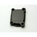 バイクパーツ ステップケイファクトリー キックシャフトキャンセルプレート 126IZEA001R 4582215601792
