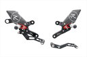 バイク用品 ステップライテック ライテック ADJステップキット R Version CB1000R 18FTRHO008R 8052393392110取寄品 ...