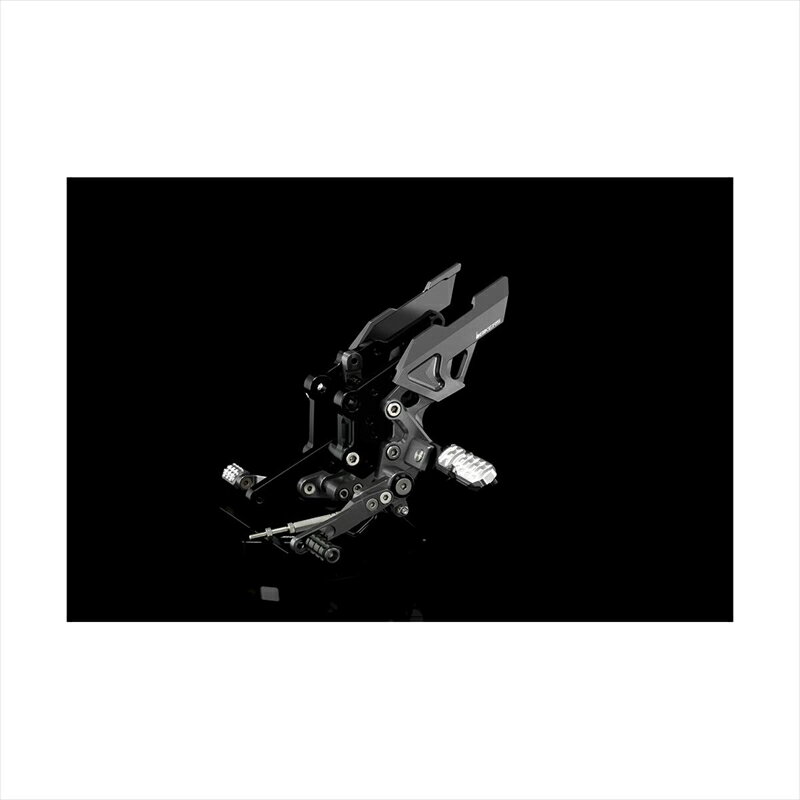 バイクパーツBIKERS(バイカーズ) バックステップ グレー K0218-GRY4548916435210Ninja250R/250 08-17