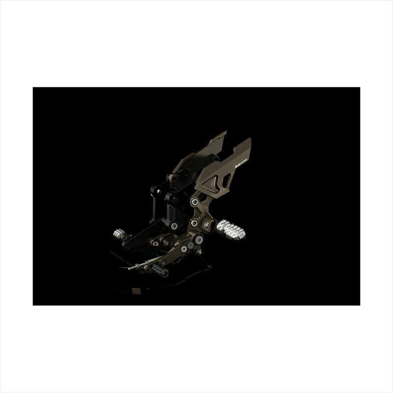 バイクパーツBIKERS(バイカーズ) バックステップ チタン K0218-TIN4548916435289Ninja250R/250 08-17