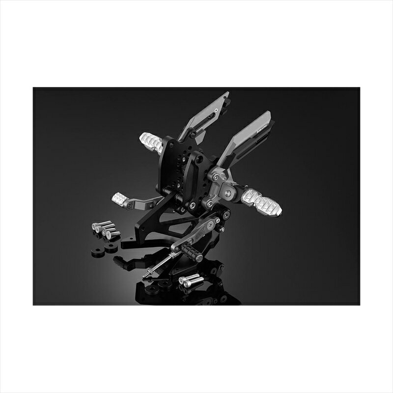バイクパーツBIKERS(バイカーズ) バックステップ グレー K0306-GRY4548916717316Z1000 10-22