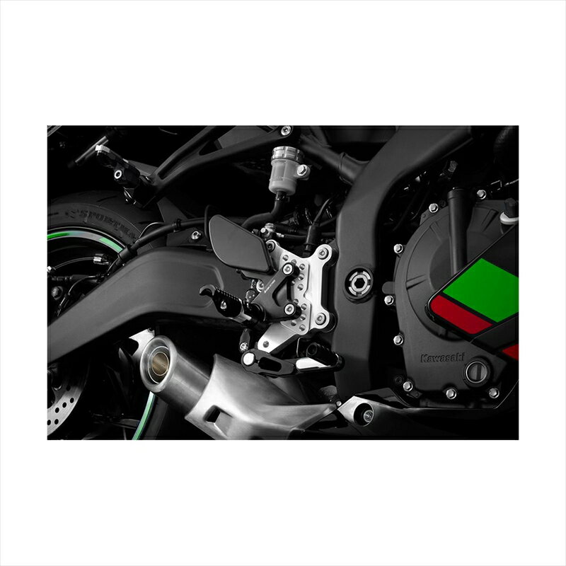 バイクパーツBIKERS(バイカーズ) バックステップ ブラック K0467-BLK4550255512798ZX-25R 20-24