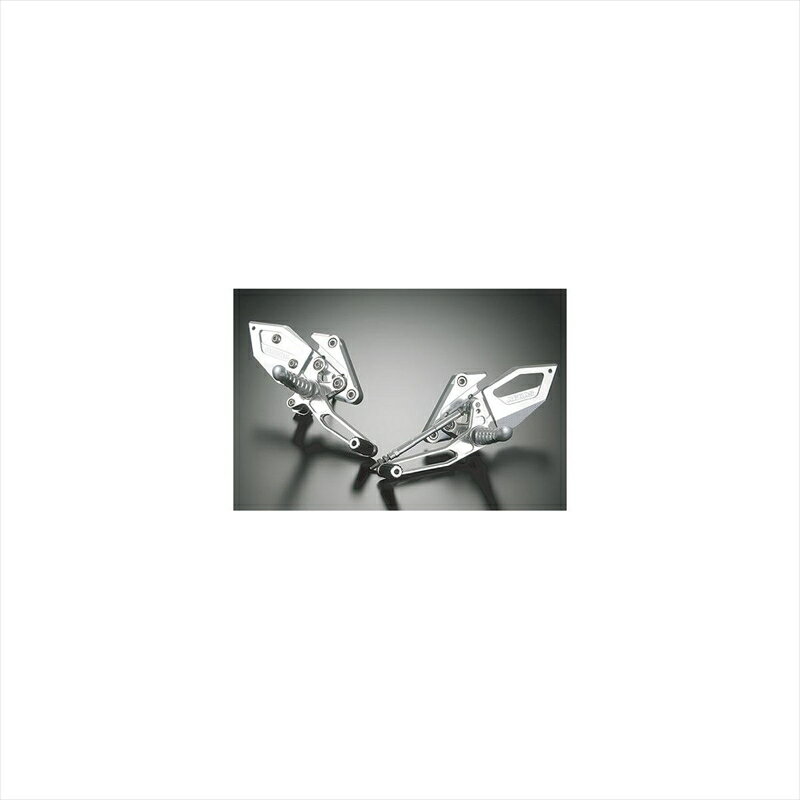 バイクパーツ ステップアグラス バックステップ 4ポジション 312-458-000 4520616278571ZX9R/6R 98-03