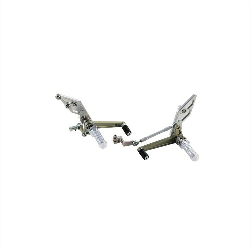 バイクパーツ ステップビトーアールアンドディー バックステップ 640-10-006 4547424277787ZRX1100