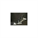 バイクパーツWOODSTOCK(ウッドストック) バックステップキット シャンパンGLD WBS-H03-0B4547424436467CBR1000RR 04-07
