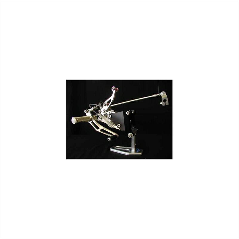 バイクパーツWOODSTOCK(ウッドストック) バックステップキット シャンパンGLD WBS-Y04-004547424436504YZF-R1 98-01