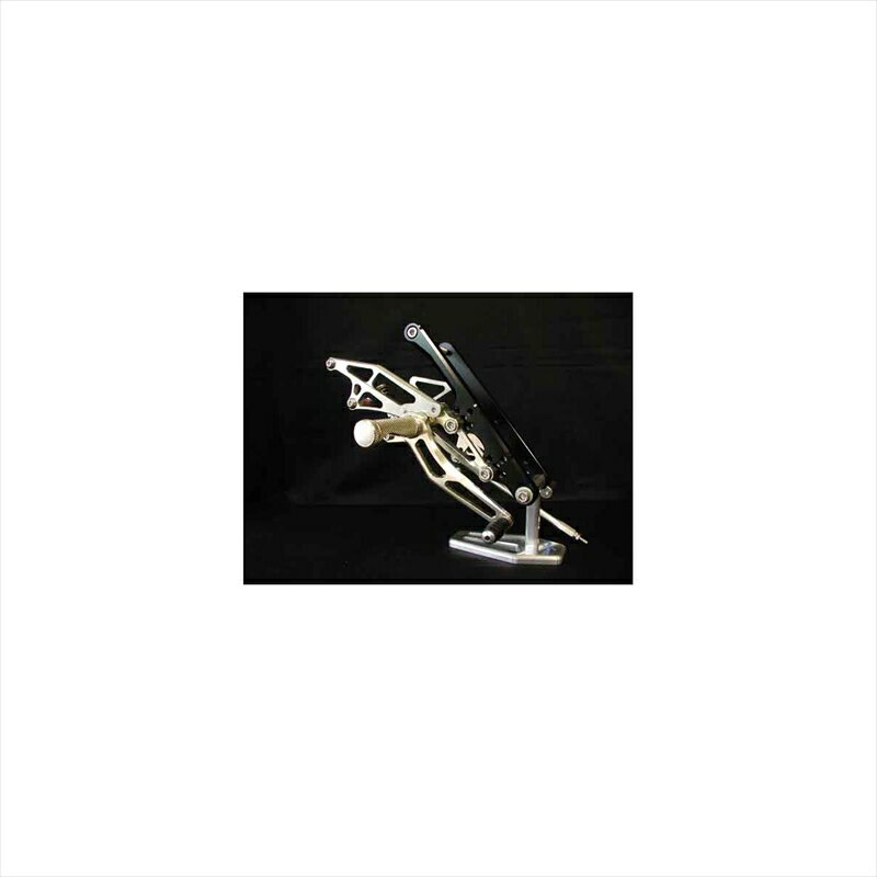 バイクパーツWOODSTOCK(ウッドストック) バックステップキットBLK/シャンパンGLD WBS-S02-004547424436535GSX1100S FE 刀 00