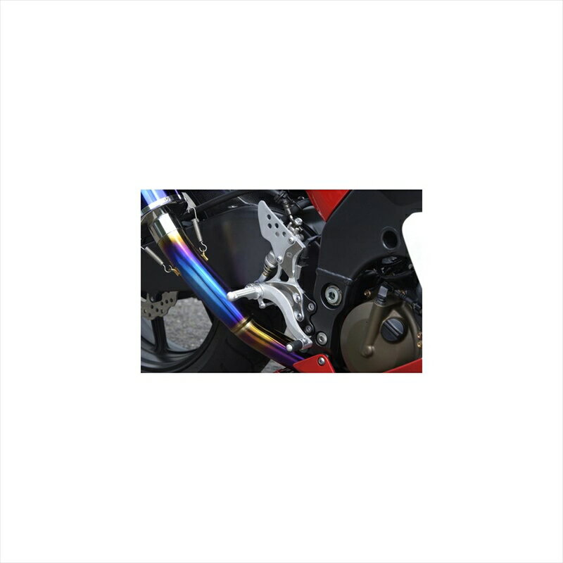 バイクパーツBEET(ビート) ハイパーバンク 固定式 SLV 0111-K80-204582346450894ZX10R 04-05