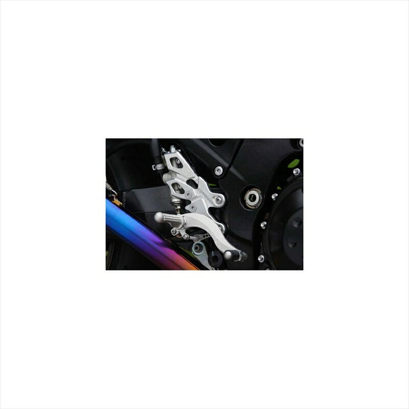 バイクパーツBEET(ビート) ハイパーバンク 固定式 SLV 0111-K87-204582346450924ZZR1400 06-