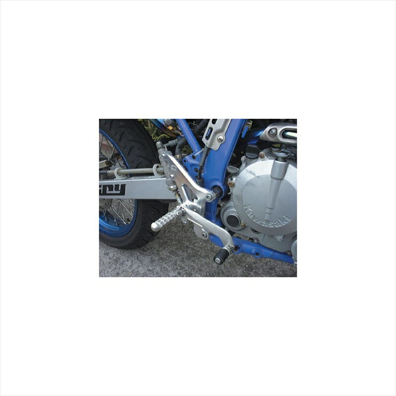 バイクパーツBEET(ビート) ハイパーバンク 固定式 SLV 0111-K38-204582346450757KLX250/D-TRACKER 93-07・250SB