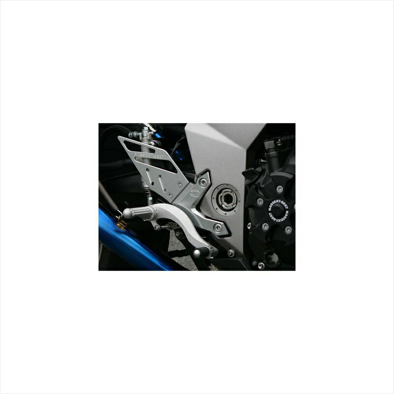 バイクパーツBEET(ビート) ハイパーバンク 固定式 SLV 0111-K91-204582346450955Z750 07-/1000 07-09