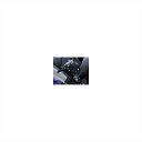 バイクパーツR&G(アールアンドジー) 可変レーシングステップキット ブラックRG-RSET09BK4571381459283