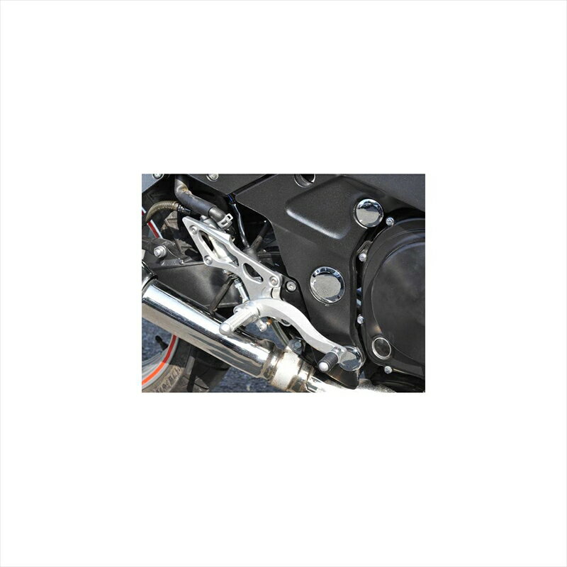 バイクパーツBEET(ビート) ハイパーバンク 固定式 SLV 0111-K76-204582346456605ZZR400 93-07