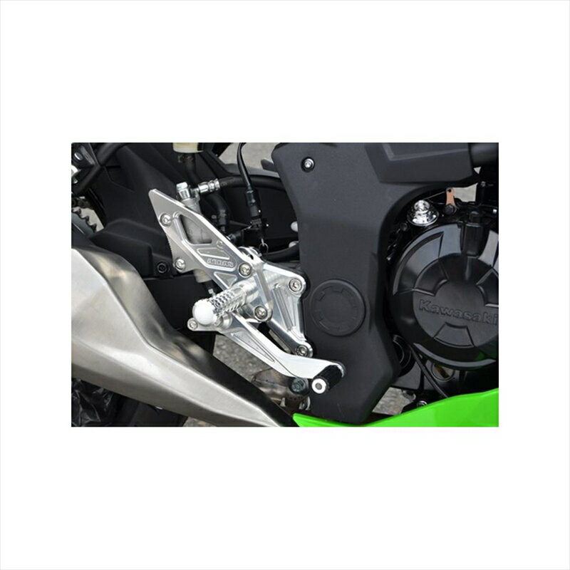 バイクパーツ ステップアグラス バックステップ312-495-000 4548916460984NINJA250SL 15