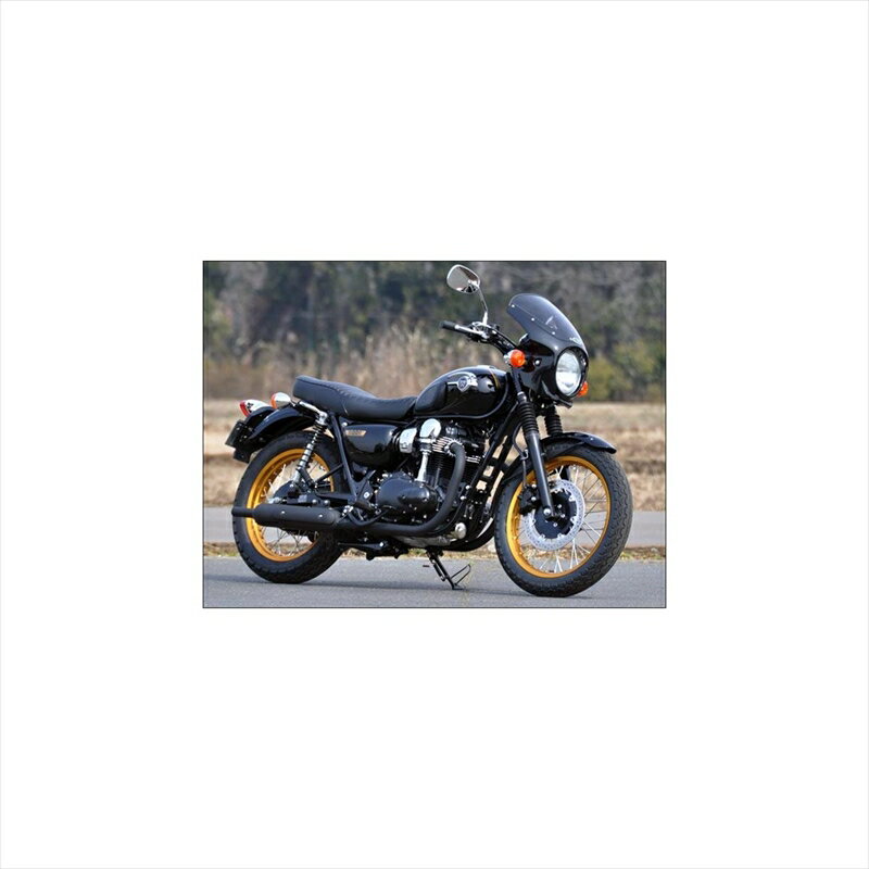バイクパーツ 外装シックデザイン ロードコメット エボニー/CCRED/クリア RC48-EB/CAR 4548664850594W650