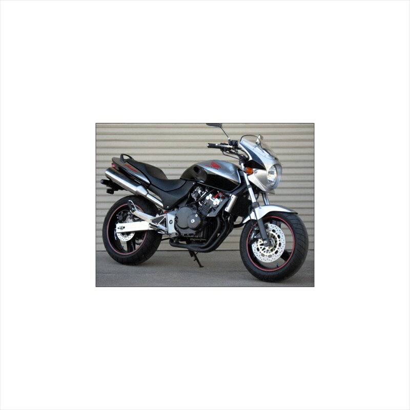 バイクパーツ 外装シックデザイン ロードコメット2 キャンディBRED/クリア RCB22-CRD 4548664684090HORNET250