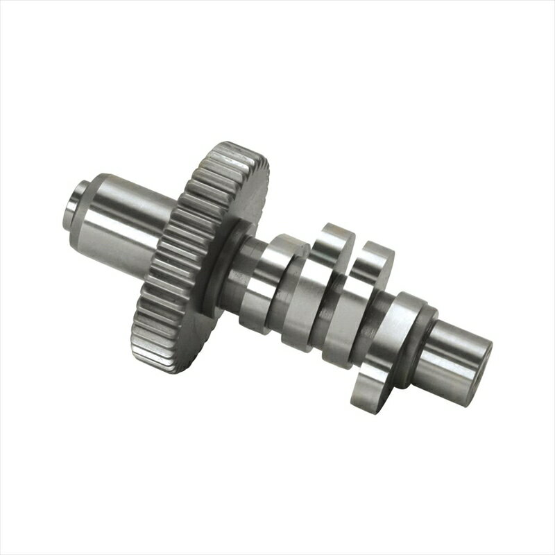 バイクパーツエスアンドエスサイクル S＆S カムシャフト Hグラインド S＆Sクランケース OEM: 25523-69330-0170 4548916976638