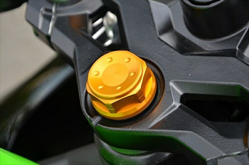 バイクパーツ ハンドルアグラス トップブリッジセンターナット BLK 446-025-100BK 4548916461592NINJA250SL 15 M25XP1.0