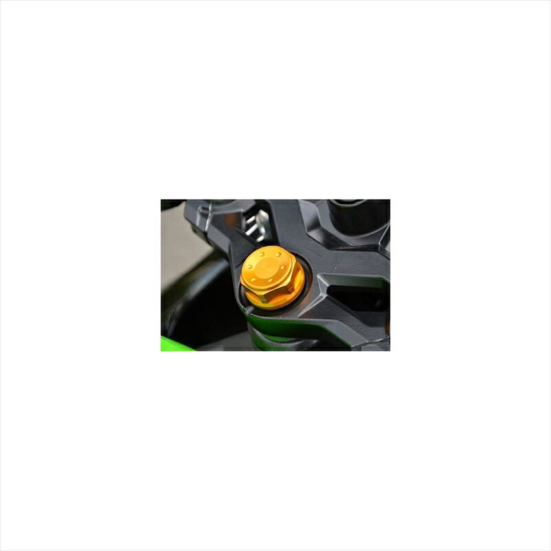 バイクパーツ ハンドルアグラス トップブリッジセンターナット TIN 446-025-100T 4548916461639NINJA250SL 15 M25XP1.0
