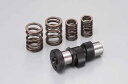 バイク用品 吸気系 エンジンDAYTONA デイトナ ハイカムシャフト APE5047445 4909449233962取寄品 セール