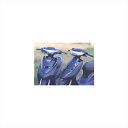 バイクパーツ 外装エヌアールマジック アイメタル JOG-ZR BD0010-Y10000 45475672883983YK-JOG