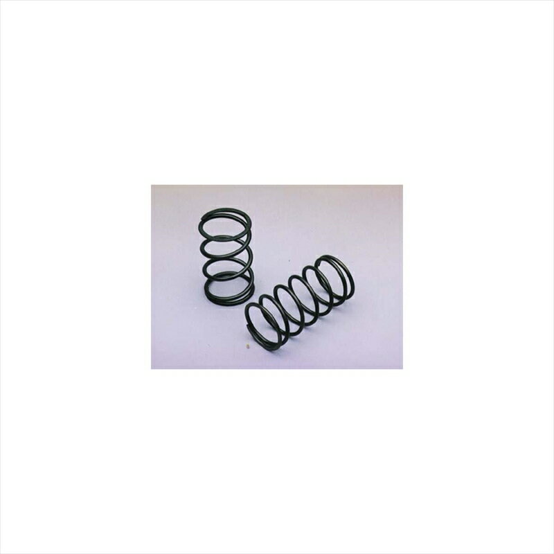 バイクパーツ 駆動系エヌアールマジック SPセンタースプリング スズキA KB0120-S10011 4547567291633ストリートマジック50