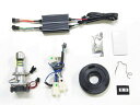 バイク用品 電装系Protec プロテック LHL-H19 LEDバルブ 6000k 純正マルチリフレクター対応 CB1100EX 17-1964010-01 ...