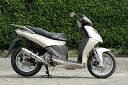 【RPM】【アールピーエム】 aprolia SPORTCITY250ie 用 80D-RAPTOR SUS/SUS【6034d】 フルエキゾーストマフラー
