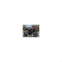 バイクパーツCHIC DESIGN(シックデザイン) ロードコメット 未塗装/スモーク RC99-UNP/24550255384746Z900RS 18-