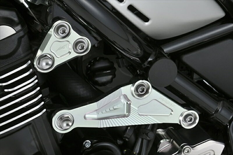 バイク用品 外装アグラス アグラス エンジンハンガーSET フロント リア GLD Z900RS 18356-400-002G 4549950759393取寄品 セール