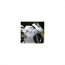 バイクパーツ 外装サイタニヤファクトリー 1098typeフルカウル/レース 3HN5FC1098-WR 4547567697169NSR50/80