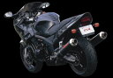 バイク用品 マフラーヤマモトレーシング ヤマモト.R スリップオン カーボンサイレンサー2ホンダシ CBR1100XX11100-02NCN 452171700...