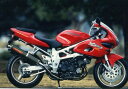 バイク用品 マフラーヤマモトレーシング ヤマモト.R スリップオン カーボンサイレンサー2ホンダシ TL1000S31000-02NCB 45217172002...