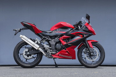 バイク用品 マフラーヤマモトレーシング ヤマモト.R スリップオン チタン Ninja250SL 15-40254-01NTB 4521717301144取寄品 セール