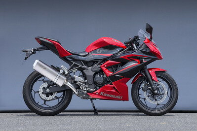バイク用品 マフラーヤマモトレーシング ヤマモト.R スリップオン TYPE-SA Ninja250SL 15-40254-01NSA 4521717301168取寄品 セール