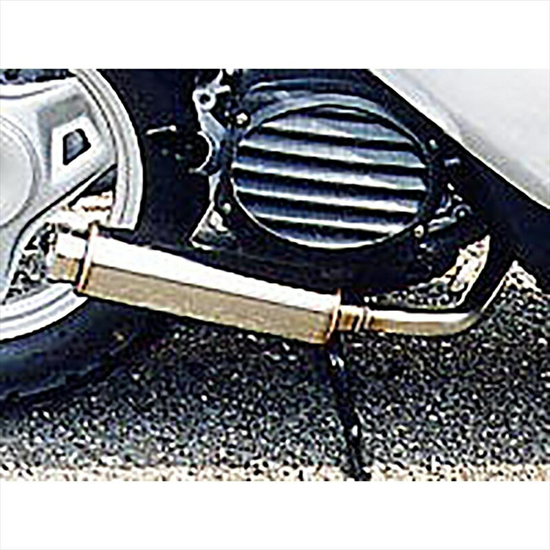 バイクパーツ マフラーウイルズウィン ロッドサイレンサー962-55-01 4547567450726SMART DIO Z4