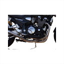 バイクパーツNOJIMA ENGINEERING(ノジマエンジニアリング) サイレンサーレスキット Sチタン タイプR NTX225SLK-R454866493...